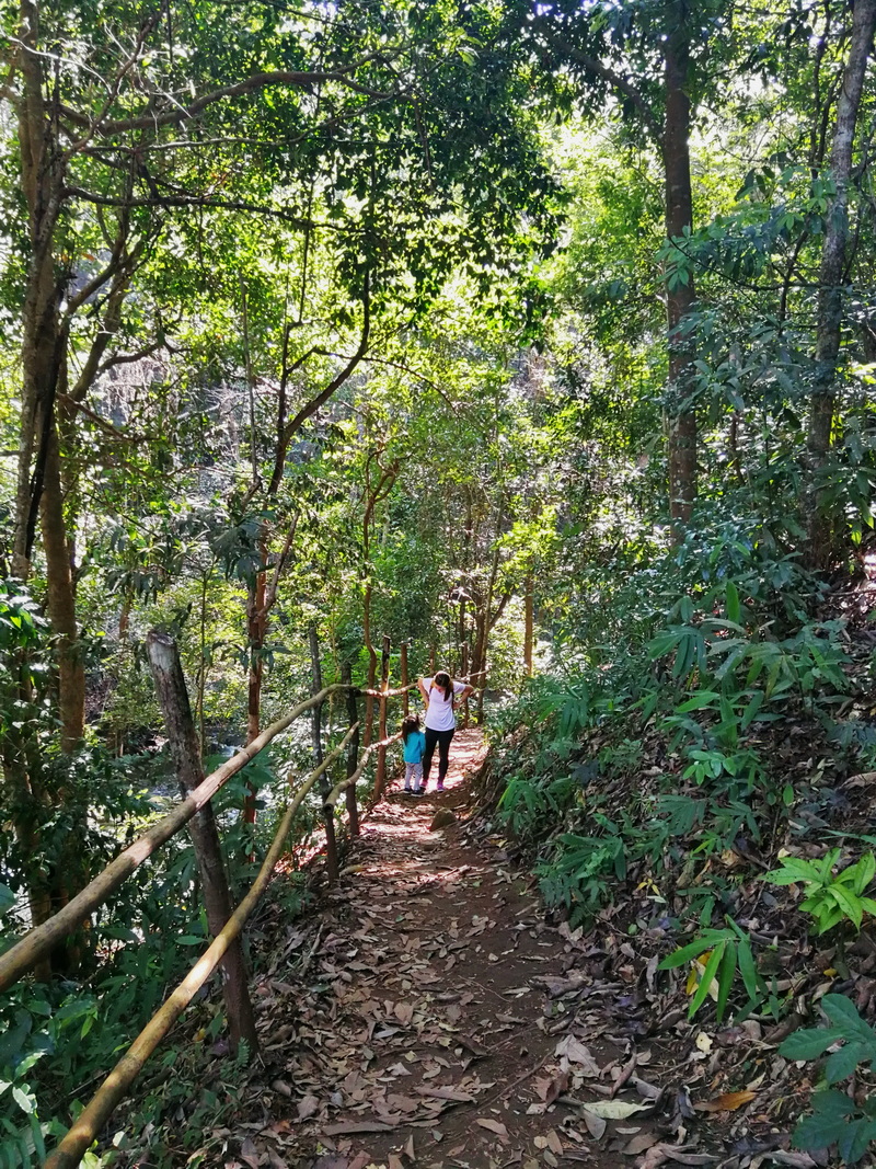 hiking pha dok siew nature trail, pha dok siew nature trail, trekking baan mae klang luang, baan mae klang luang, trekking pha dok siew, hiking pha dok siew hiking pha dok siew nature trail, pha dok siew nature trail, trekking baan mae klang luang, baan mae klang luang, trekking pha dok siew, hiking pha dok siew
