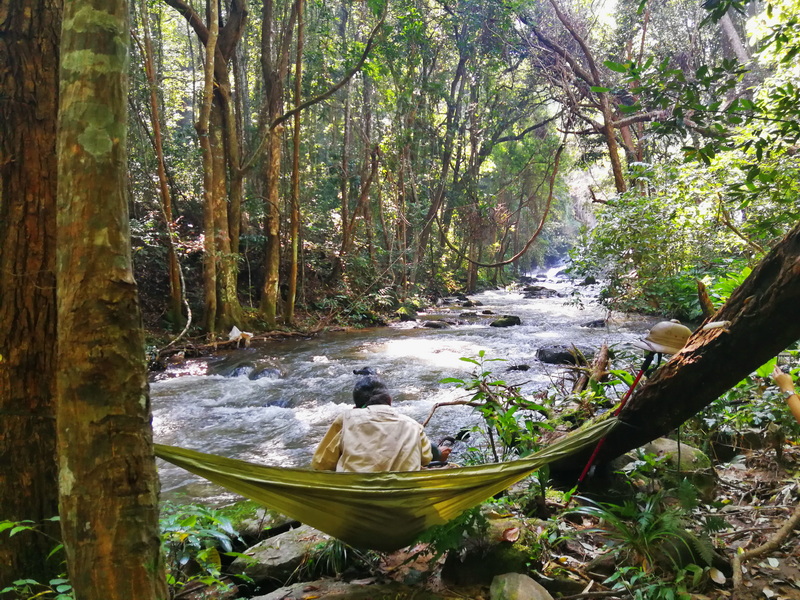 hiking pha dok siew nature trail, pha dok siew nature trail, trekking baan mae klang luang, baan mae klang luang, trekking pha dok siew, hiking pha dok siew hiking pha dok siew nature trail, pha dok siew nature trail, trekking baan mae klang luang, baan mae klang luang, trekking pha dok siew, hiking pha dok siew