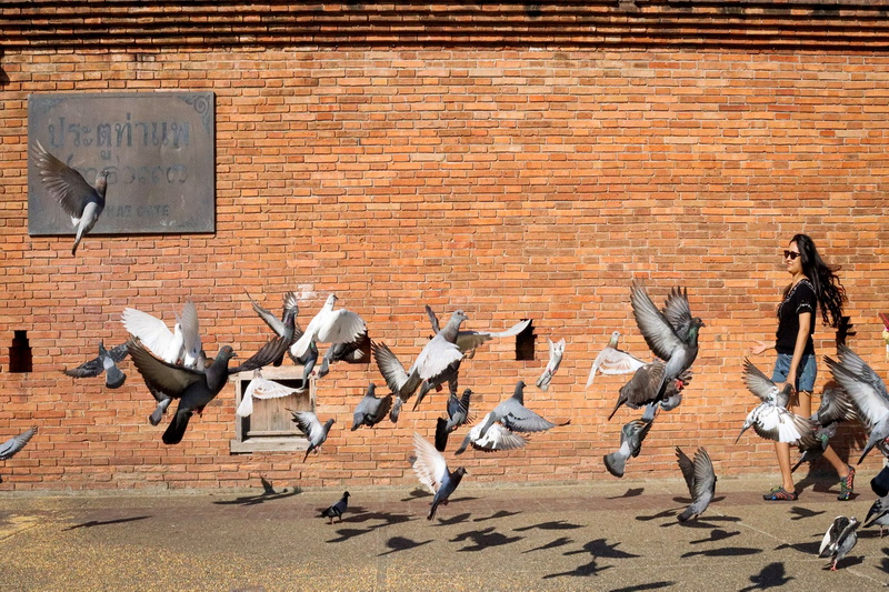 tha phae gate