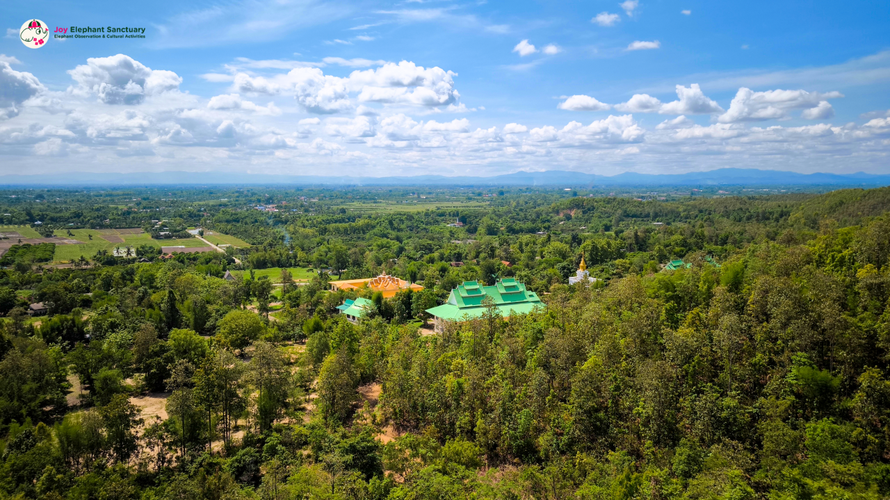 Wat Doi Supphanyu, Doi Supphanyu temple