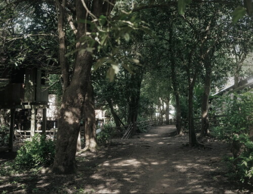 Trekking in Mae Hong Son11: Ban Huay Kung 2-Day Hike