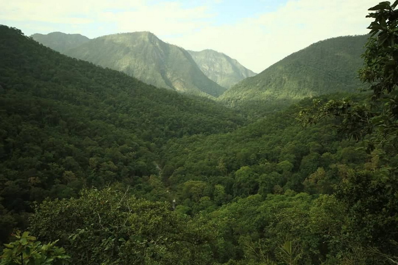 hiking at ban huai kung, ban huai kung day trek, ban huai kung day hike, ban huai kung trekking, ban huai kung adventure trek, ban huai kung hike, a day hike at ban huai kung, ban huai kung day hike