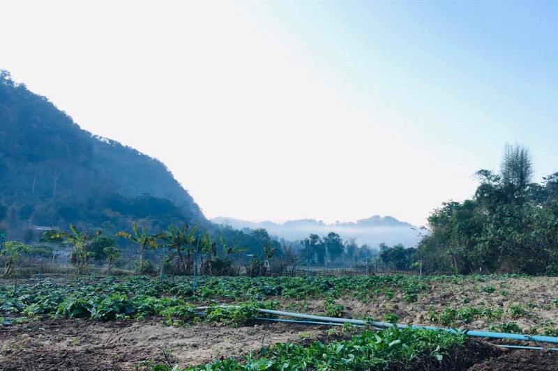 trekking at ban mae lana, ban mae lana day hike, ban mae lana trekking, ban mae lana adventure trek, hiking at ban mae lana, ban mae lana day trek, ban mae lana hike, ban mae lana trek