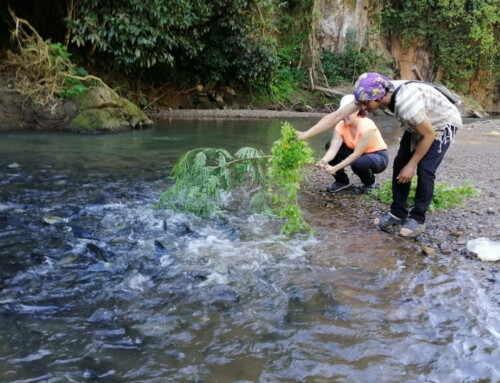Trekking in Mae Hong Son14: Ban Muang Pam 2-Day Trekking Tour
