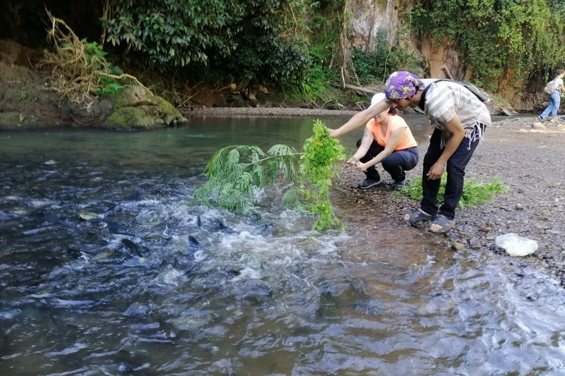 ban muang pam, ban muang pam village, muang pam village, ban muang pam mae hong son, ban muangpam, ban muang pam pang mapha, baan muang pam, ban muang paem ban muang pam, ban muang pam village, muang pam village, ban muang pam mae hong son, ban muangpam, ban muang pam pang mapha, baan muang pam, ban muang paem