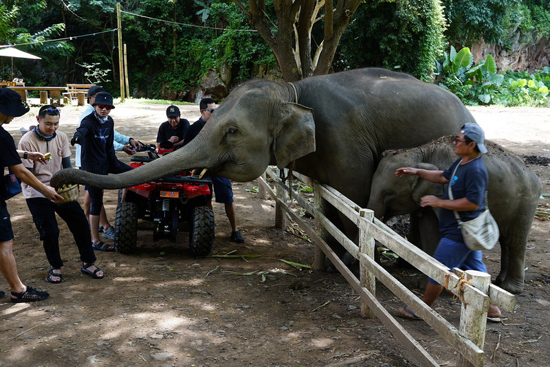 chiang mai atv, atv tour chiang mai, chiang mai atv adventure, chiang mai atv tour, atv chiang mai, atv adventure chiang mai