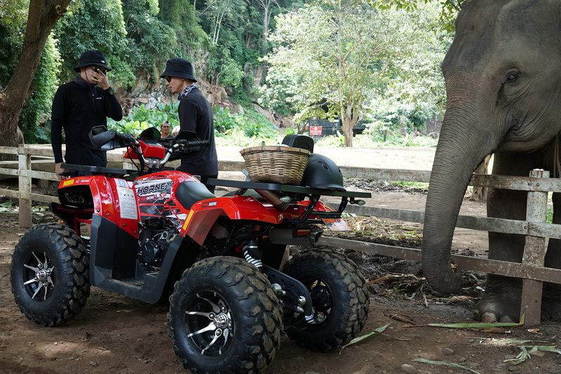 chiang mai atv, atv tour chiang mai, chiang mai atv adventure, chiang mai atv tour, atv chiang mai, atv adventure chiang mai