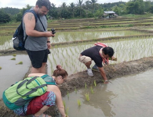 Trekking in Mae Hong Son16: 2 Days in Ban Muang Pon