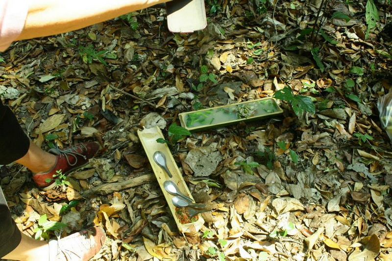 ban huay kaew, ban huay kaew bon, 2-day trek at ban huay kaew , ban huay kaew 2-day nature hike, 2-day hike in ban huay kaew, ban huay kaew 2 day trekking tour, 2 days of hiking ban huay kaew trails, ban huay kaew 2-day hill trel, 2-day trekking ban huay kaew, ban huay kaew 2-day trek