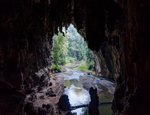 Trekking in Mae Hong Son12: Ban Mae Lana 2-Day Hiking Tour
