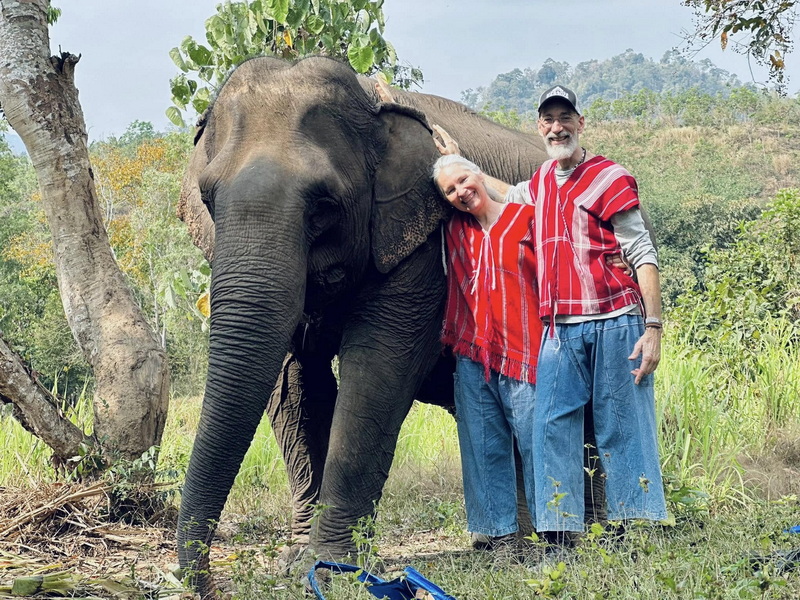 Elephant Family Chiang Rai, half day elephant chiang rai, elephant sanctuary chiang rai, karen ruammit elephant camp, chiang rai elephant bathing tour, elephant experience chiang rai, ethical elephant tour chiang rai, elephant feeding chiang rai, chiang rai elephant half day tour