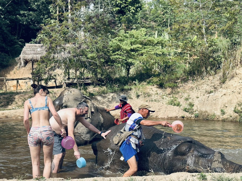 Elephant Family Chiang Rai, half day elephant chiang rai, elephant sanctuary chiang rai, karen ruammit elephant camp, chiang rai elephant bathing tour, elephant experience chiang rai, ethical elephant tour chiang rai, elephant feeding chiang rai, chiang rai elephant half day tour