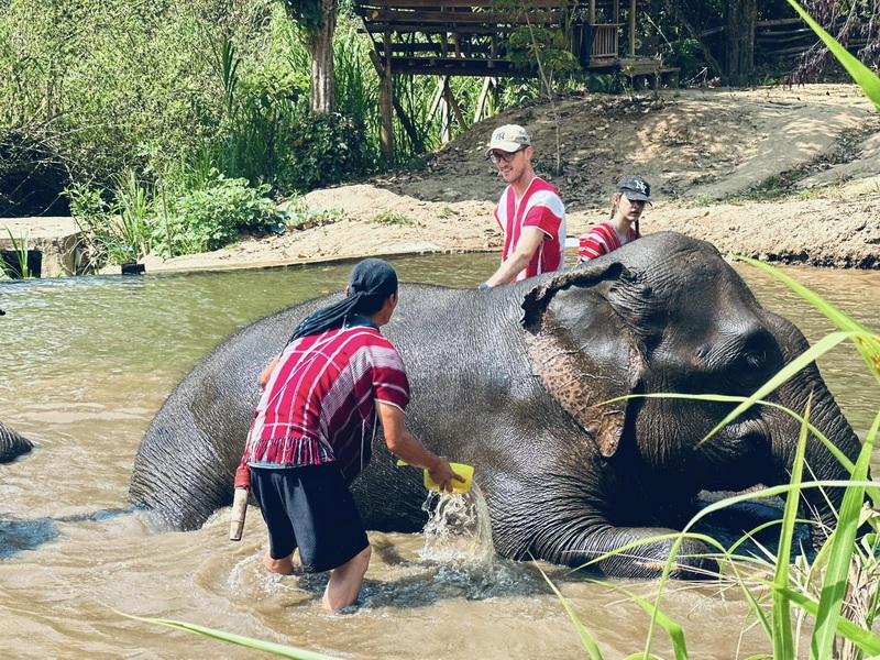 Elephant Family Chiang Rai, half day elephant chiang rai, elephant sanctuary chiang rai, karen ruammit elephant camp, chiang rai elephant bathing tour, elephant experience chiang rai, ethical elephant tour chiang rai, elephant feeding chiang rai, chiang rai elephant half day tour