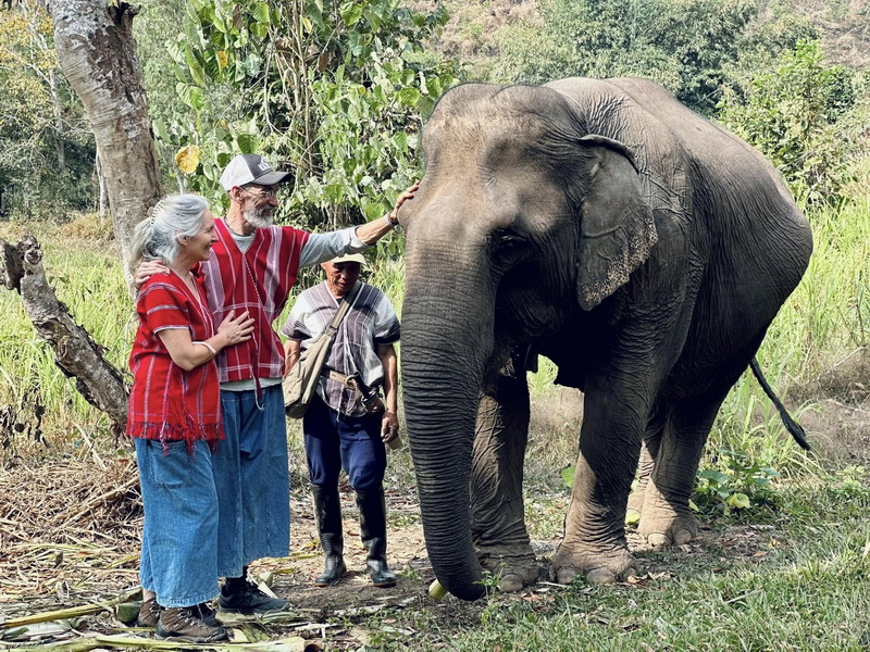 Elephant Family Chiang Rai, half day elephant chiang rai, elephant sanctuary chiang rai, karen ruammit elephant camp, chiang rai elephant bathing tour, elephant experience chiang rai, ethical elephant tour chiang rai, elephant feeding chiang rai, chiang rai elephant half day tour