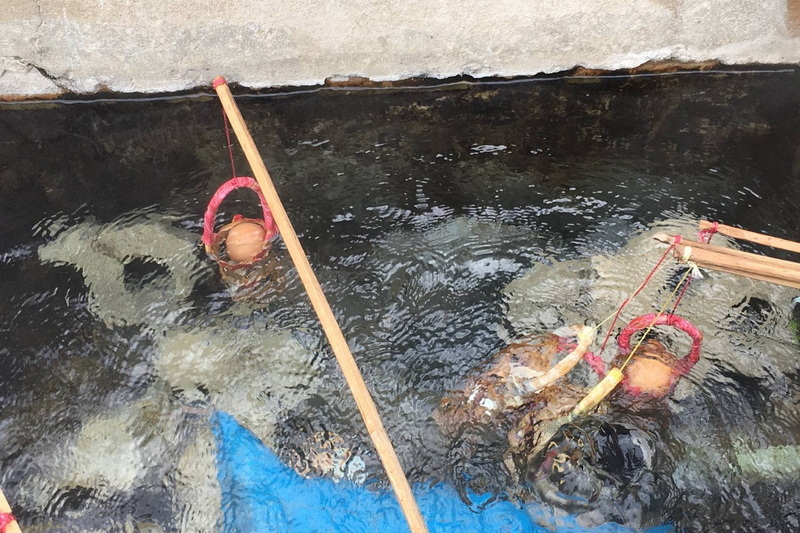 Phasoet Hot Spring, chiang rai day trek, trekking in chiang rai, one day trek chiang rai, chiang rai hiking, hiking in chiang rai, chiang rai trek one day, 1 day trek chiang rai, 1 day trekking in chiang rai, trekking adventure in chiang rai