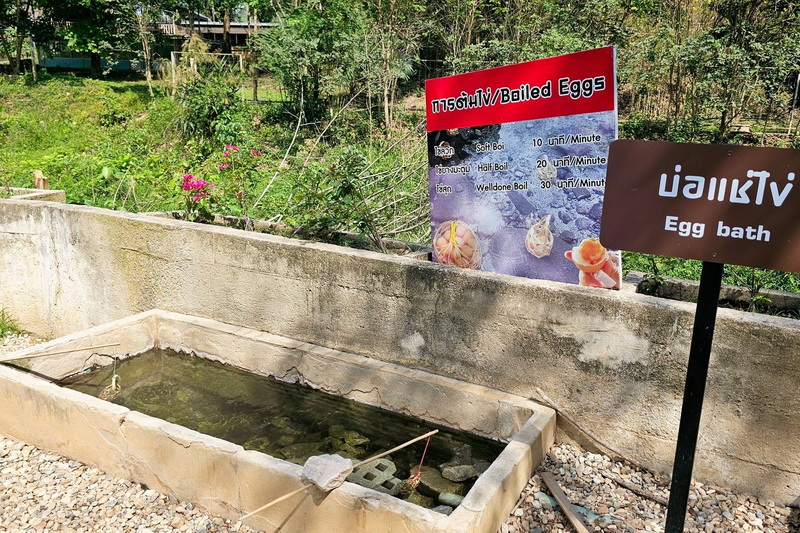 Phasoet Hot Spring, chiang rai day trek, trekking in chiang rai, one day trek chiang rai, chiang rai hiking, hiking in chiang rai, chiang rai trek one day, 1 day trek chiang rai, 1 day trekking in chiang rai, trekking adventure in chiang rai