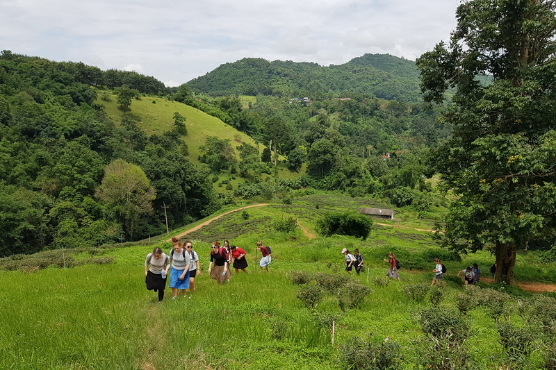 chiang rai day trek, trekking in chiang rai, one day trek chiang rai, chiang rai hiking, hiking in chiang rai, chiang rai trek one day, 1 day trek chiang rai, 1 day trekking in chiang rai, trekking adventure in chiang rai