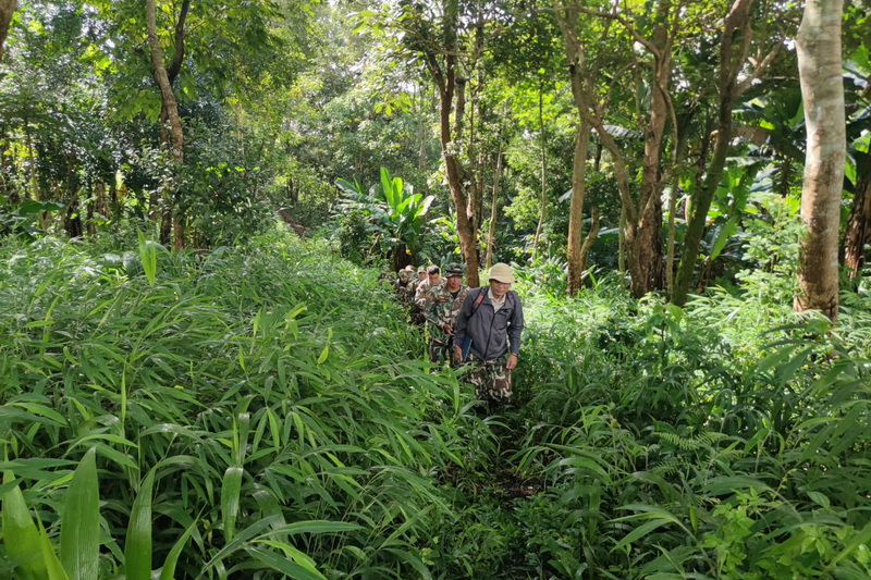 chiang rai day trek, trekking in chiang rai, one day trek chiang rai, chiang rai hiking, hiking in chiang rai, chiang rai trek one day, 1 day trek chiang rai, 1 day trekking in chiang rai, trekking adventure in chiang rai