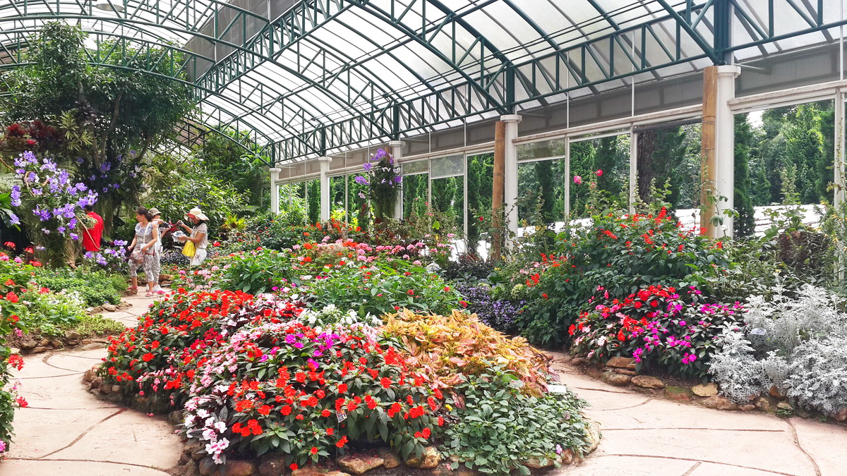 bhubing palace, doi suthep-pui national park, doi suthep - pui national park, doi suthep-pui, doi suthep national park