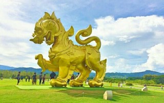 singha park, singha park chiang rai