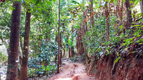 mok fah waterfall, mok fa waterfall