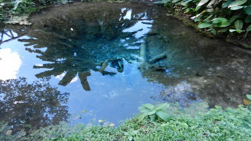 srilanna national park, srilanna, sri lanna national park, sri lanna, buatong waterfall, buatong sticky waterfall, sticky waterfall, bua tong waterfall