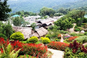 hmong tribal village, doi pui hmong village, hmong village, doi pui hmong tribal village