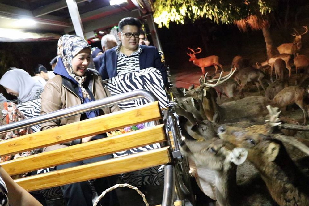 sights in chiang Mai, things to do in chiang mai, must do in chiang mai, chiangmai night safari, chiang mai night safari, attractions in chiang mai