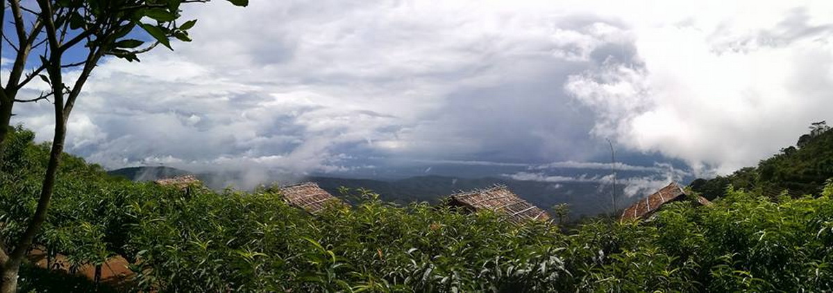 mon jam, monjam, mon jam chiang mai, monjam chiang mai