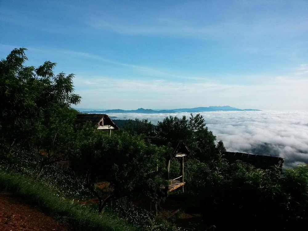 mon jam, monjam, mon jam chiang mai, monjam chiang mai