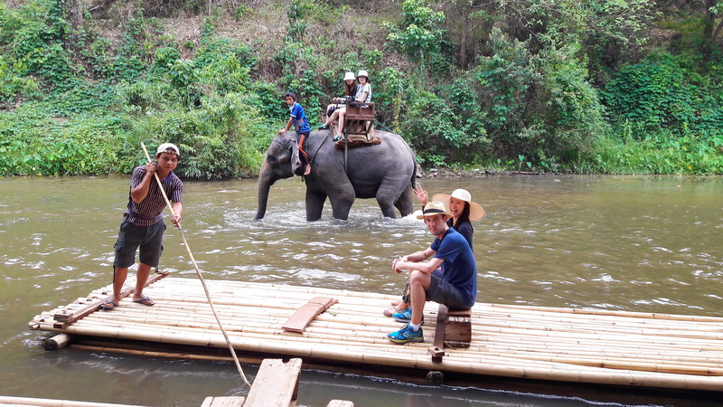 mae tang elephant kingdom, mae tang elephant camp, mae tang elephant, mae taeng elephant kingdom, mae taeng elephant camp, mae taeng elephant