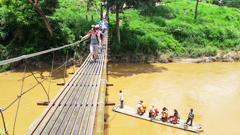mae tang elephant kingdom, mae tang elephant camp, mae tang elephant, mae taeng elephant kingdom, mae taeng elephant camp, mae taeng elephant