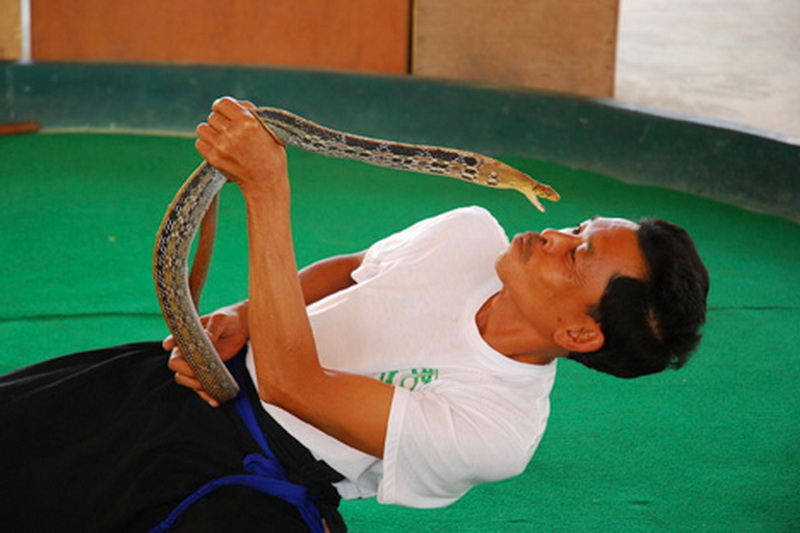 queen sirikit botanic garden, botanic garden, botanic garden chiang mai
