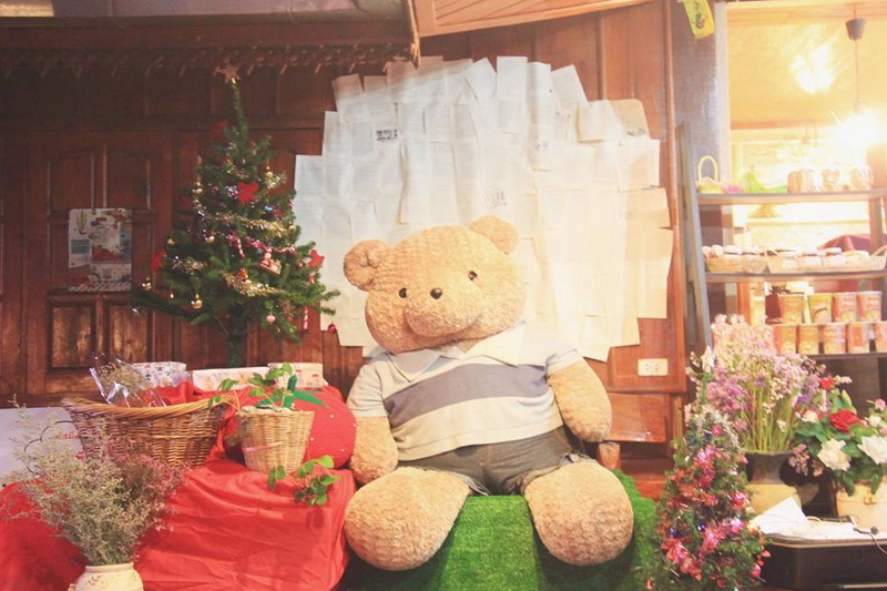 samoeng, strawberry garden, strawberry gardens, samoeng strawberry gardens, strawberry gardens in samoeng