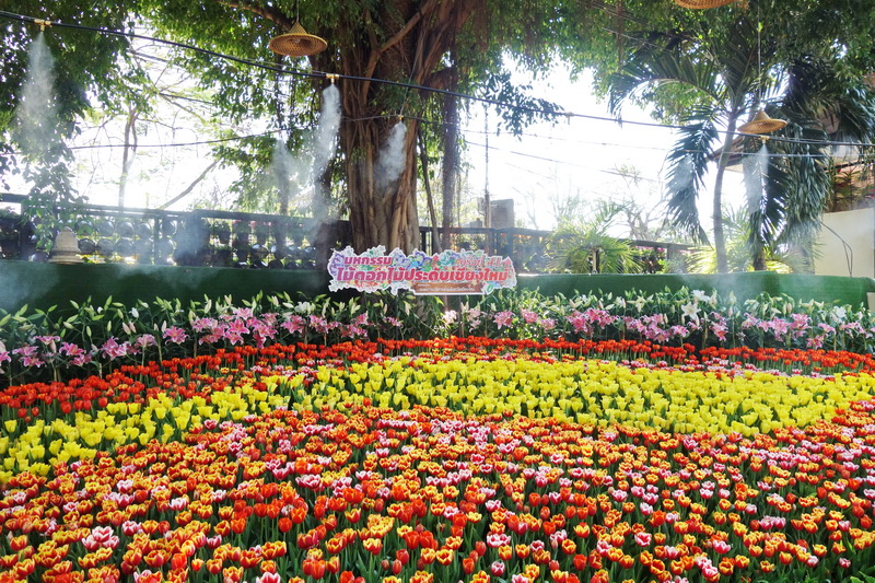 nongbuakhad park, nongbuakhad, nongbuakhad gardens