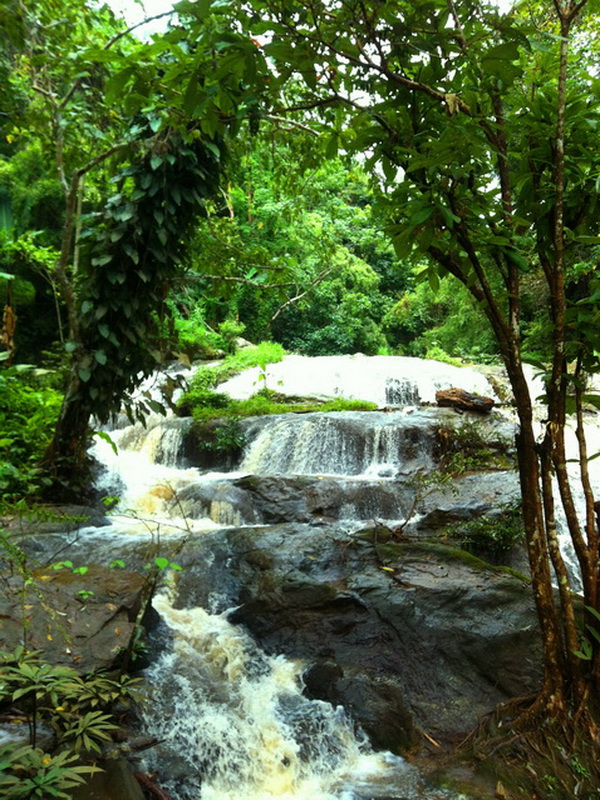 queen sirikit botanic garden, botanic garden, botanic garden chiang mai
