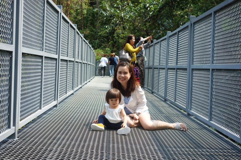 queen sirikit botanic garden, botanic garden, botanic garden chiang mai