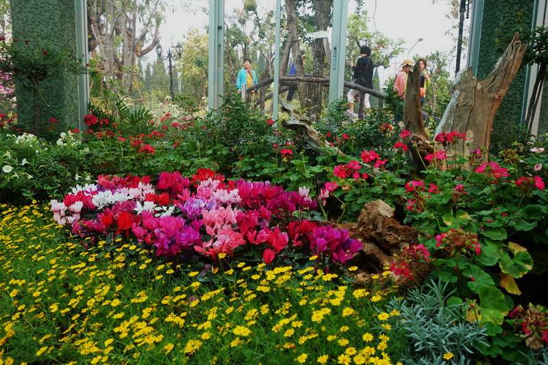 royal flora rajaphruek, royal flora garden, royal flora