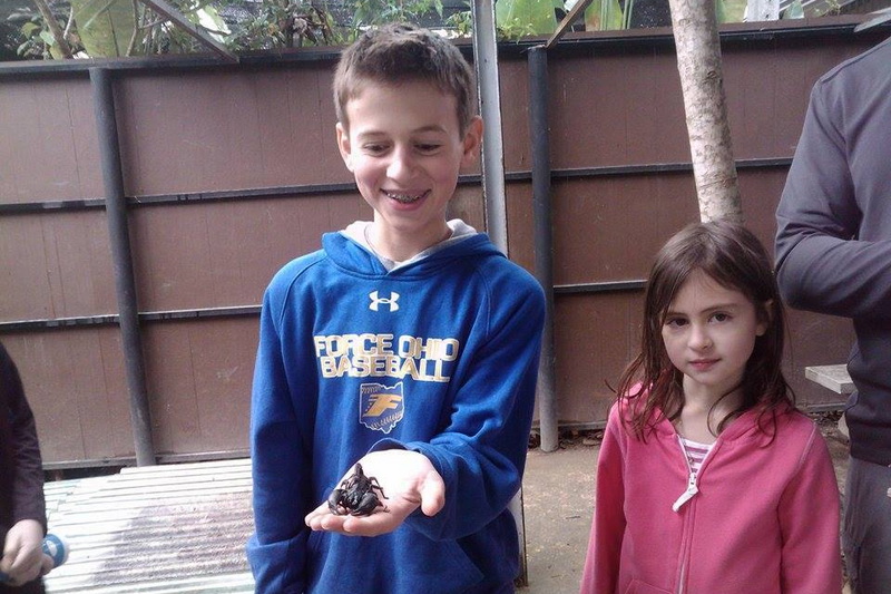 mae sa waterfall, mae sa waterfalls, maesa waterfall, maesa waterfalls