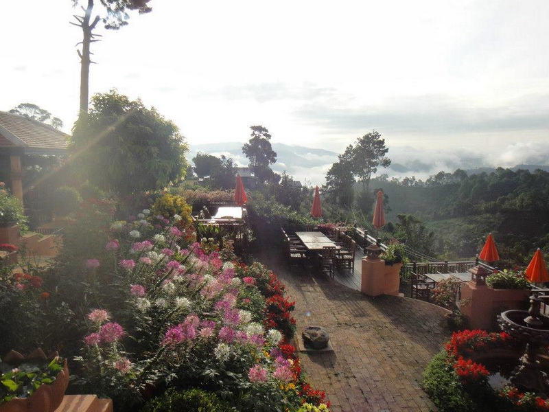 samoeng, strawberry garden, strawberry gardens, samoeng strawberry gardens, strawberry gardens in samoeng