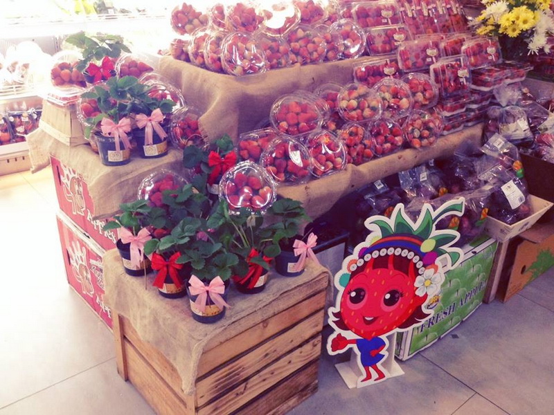 samoeng, strawberry garden, strawberry gardens, samoeng strawberry gardens, strawberry gardens in samoeng