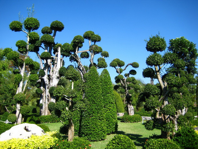 tweechol botanic garden, tweechol garden, tweechol park