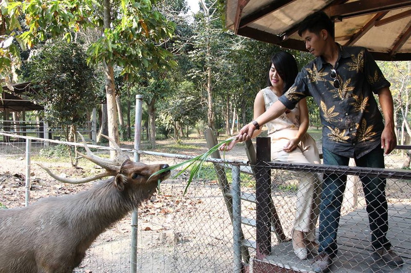 tweechol botanic garden, tweechol garden, tweechol park