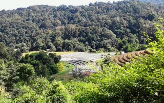 Baan Mae Klang Luang, hiking at doi inthanon, hiking at doi inthanon national park, trekking at doi inthanon, trekking at doi inthanon national park