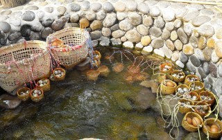 maekachan hot springs, mae kachan hot springs, maekachan hot spring, mae kachan hot spring