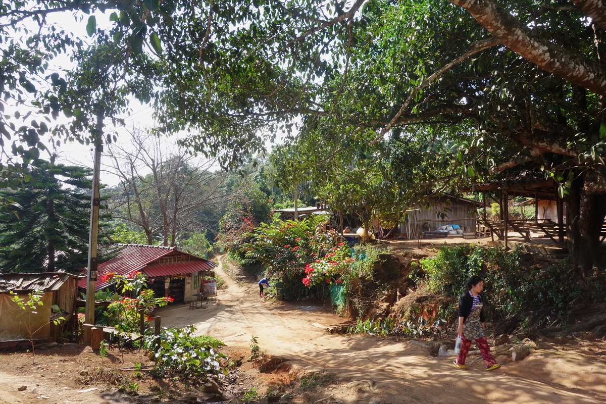Hmong Baan Khun Chang Kian, doi suthep-pui national park, doi suthep - pui national park, doi suthep-pui, doi suthep national park