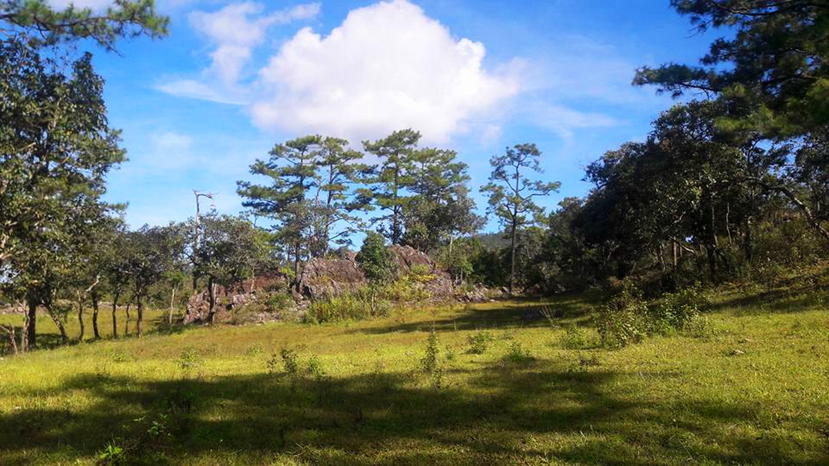 doi wiang pha national park, doi wiang pha