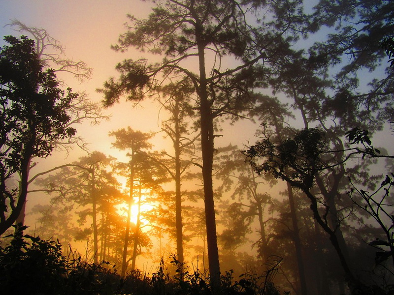 doi wiang pha national park, doi wiang pha