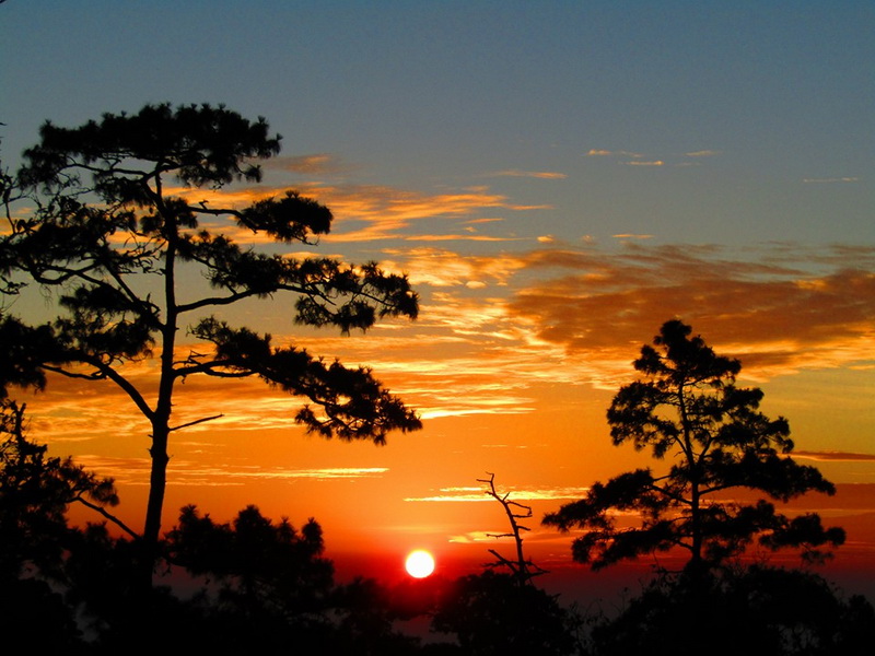 doi wiang pha national park, doi wiang pha