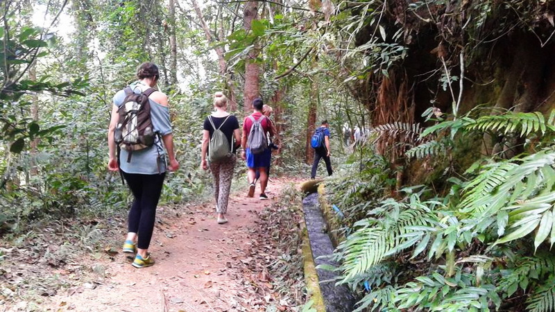 hiking ban mae klang luang, doi inthanon hiking ban mae klang luang, doi inthanon hiking, ban mae klang luang